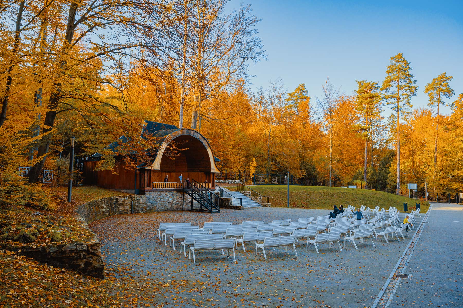 Read more about the article Park Zdrojowy